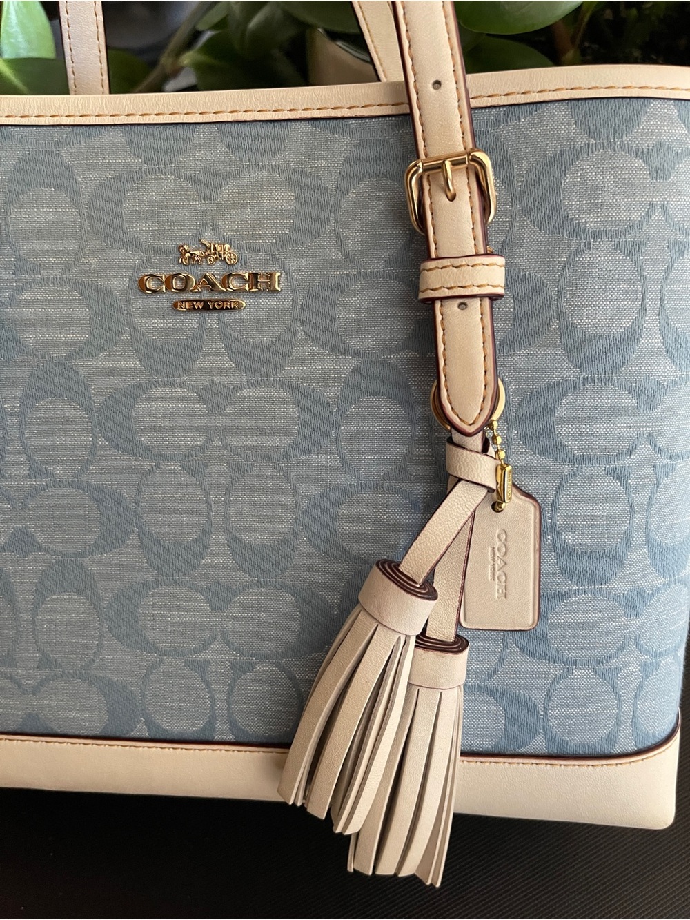 Coach Mollie Tote 25 with Matching Wristlet - Picture 11 of 11